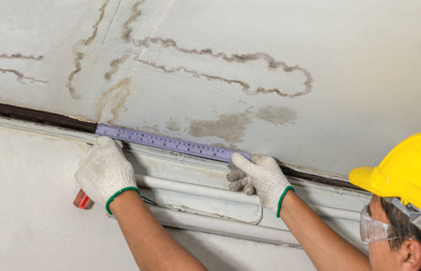 Reliable Burst Pipe Cleanup contractor in Nobleton, FL by Water Damage Irwin